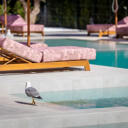 J'adore Secret Garden A&k Deluxe * Sunny Beach